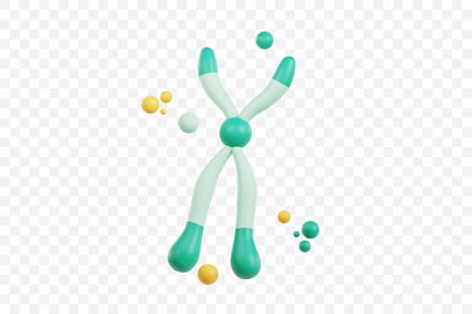 Vista previa: Modelo cromosómico humano