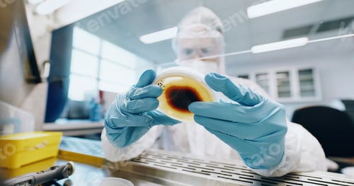 Preview: Hands, sample and science with person in laboratory for biology, breakthrough or pharmaceutical dis