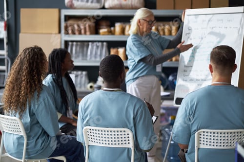 Preview: Senior Woman Delivering Training Session in Classroom