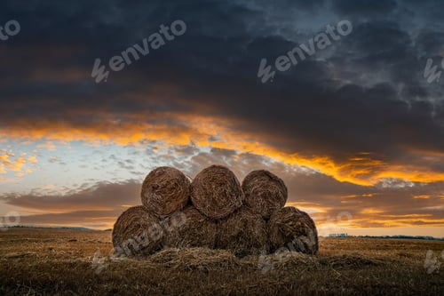 Preview: Round bales of dry hay piled up