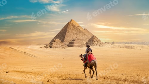 Preview: Camel and the Pyramids