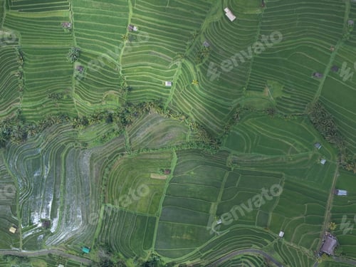 Preview: Aerial shot of plowed green fields divided into territories