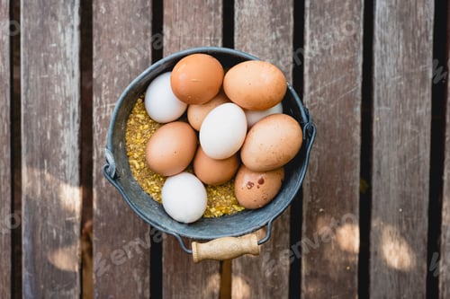 Preview: Bucket full of white and brown chicken eggs.