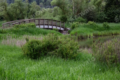 Preview: Wooden bridge across a river