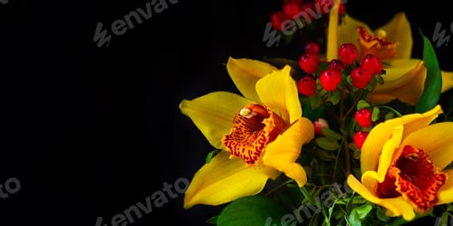 Preview: Yellow orchid bouquet on a black background.