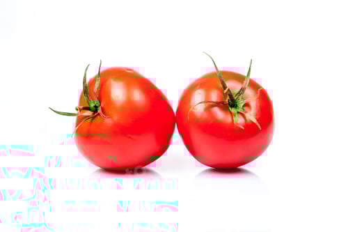 Preview: Two Red Tomatoes on a White Background