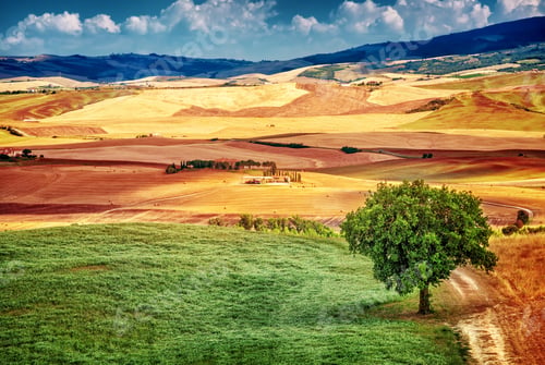 Preview: Beautiful autumnal landscape