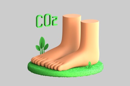 Preview: Two feet standing on a patch of grass.