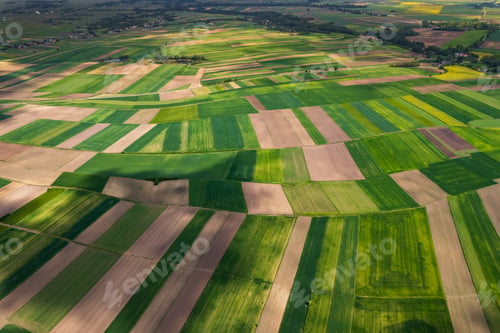 Preview: Colorful rural Landscape at Spring. Agriculture Crop Pattern.Drone View.