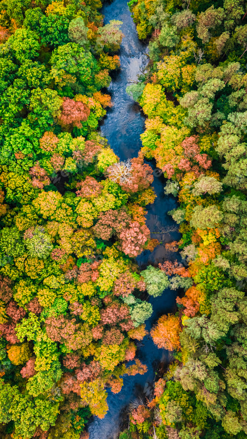 Preview: Curvy river in early autumn. Aerial view of wildlife, Poland.