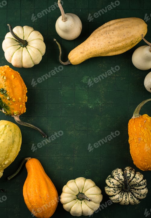 Preview: Decorative pumpkin on green background.