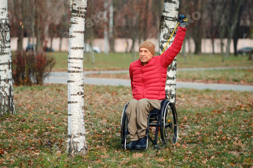 Preview: Enjoying the outdoors and exercising in a park while using a wheelchair during a sunny autumn day