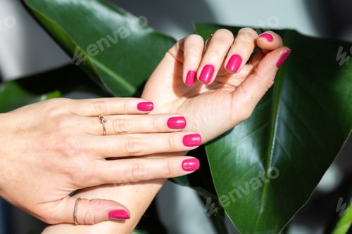 Preview: Close-up beautiful female hand with pink nails on green background.