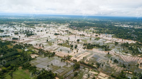 Preview: Rice field aerial view Sakon Nakhon, Thailand.
