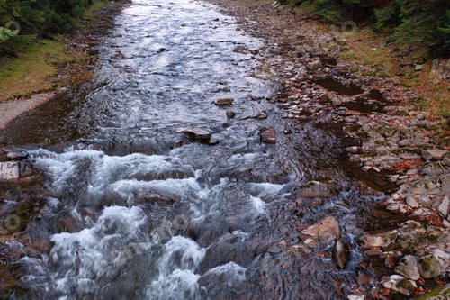 Preview: River stream running past mountain foot with autumn forest