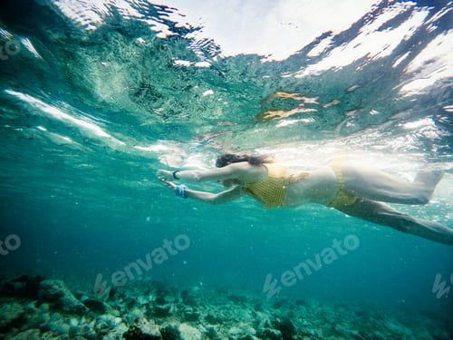 Preview: woman snorkeling in clear tropical sea