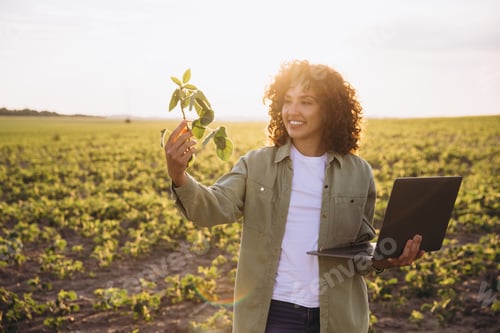 Visualização: Jovem agrônomo segurando planta de soja e laptop em campo cultivado