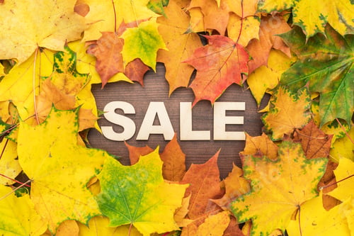 Preview: Pushcart Over Autumn Leaves