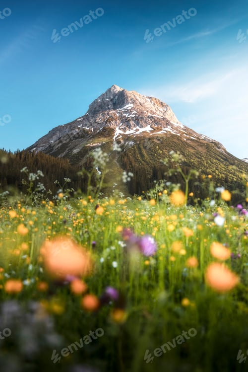 Preview: Afternoon light on the Omeshorn mountain in Lech Austria