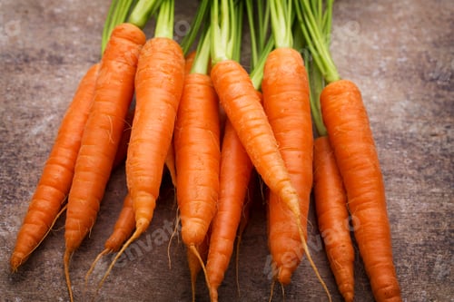 Preview: Fresh and sweet carrot on a grey wooden table.