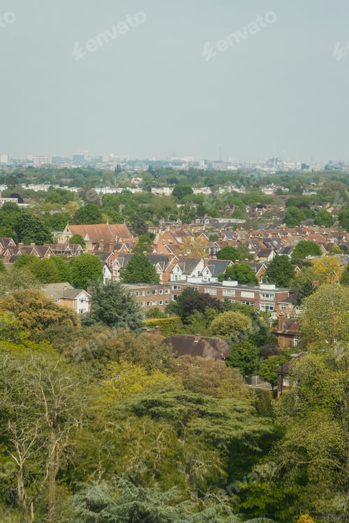 Preview: Houses in the middle of dense and tall trees with cityscape in the back