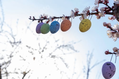 Preview: Flowering tree branches with hanging Easter colored eggs. Garden decoration for Easter.