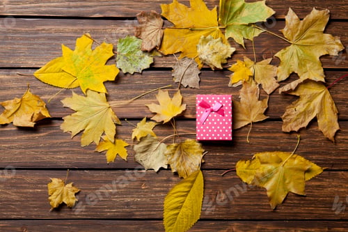 Preview: Gift box and leafs