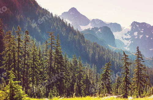 Preview: Mt Baker Area