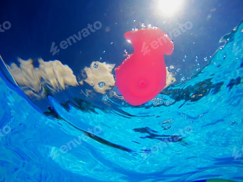Preview: Generic rubber fish toy in swimming pool, underwater view