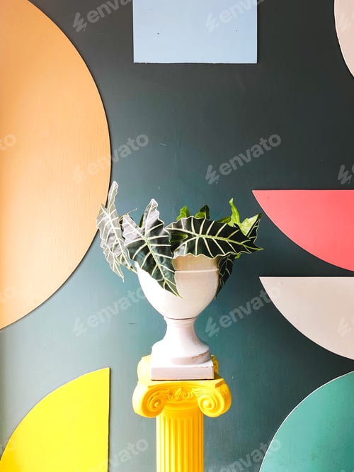 Preview: Colourful and playful motifs with plant