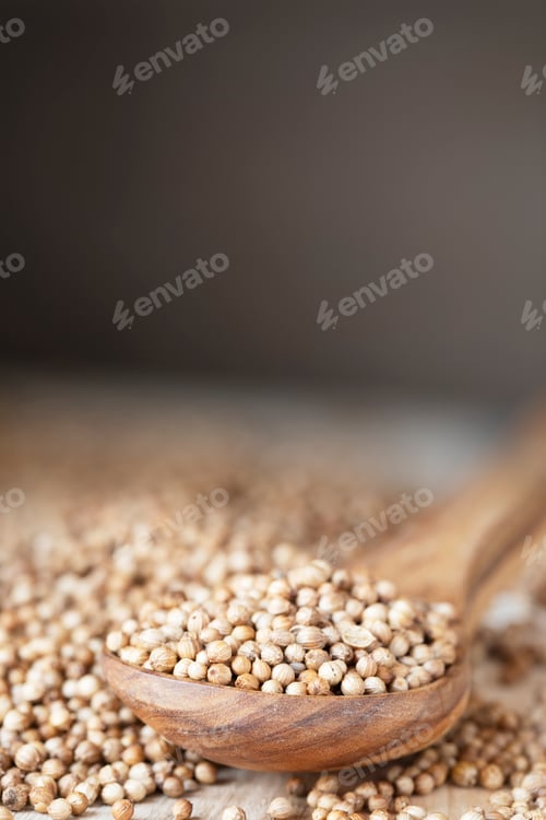 Preview: Coriander Seeds Vertical