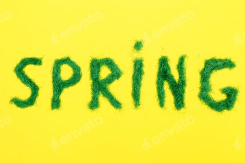 Preview: The inscription Spring from decorative green grass on a yellow background.