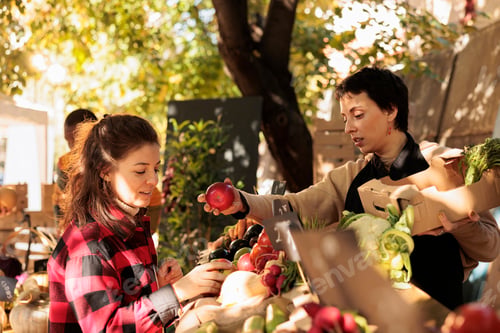Preview: Woman buying healthy organic food at local farmers market