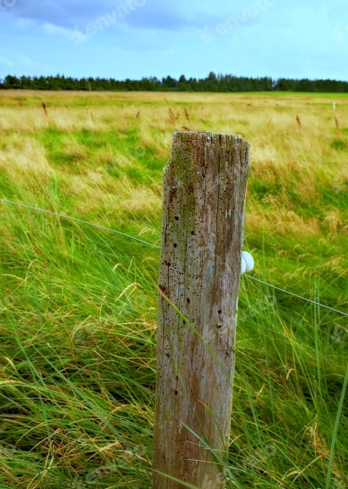 Preview: A photo of a fence post