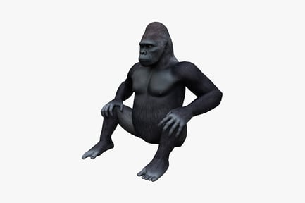 Preview: Seated gorilla with crossed legs