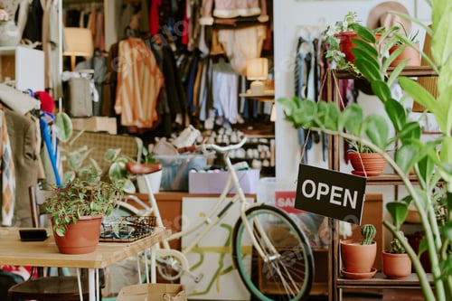 Preview: Displaying Green Plants in Cozy Retail Space