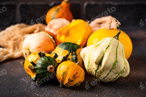 Preview: Assortment of decorative colorful pumpkins