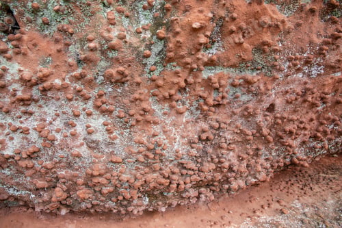 Preview: holes in stone - Tafoni weathering in red sandstone