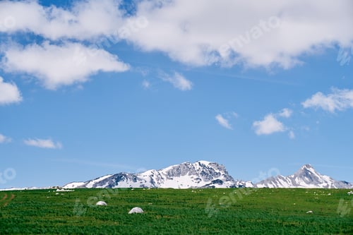 Preview: Green meadow at the foot of a snow-capped mountain range