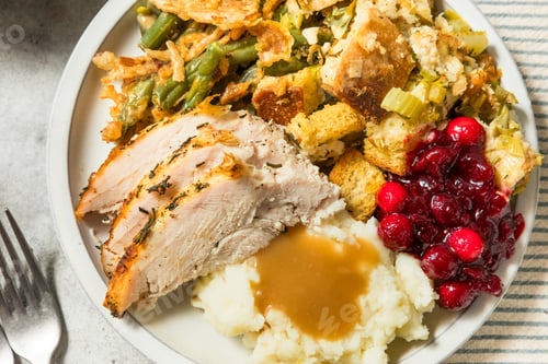 Preview: Thanksgiving Turkey Dinner Plate with Potatoes