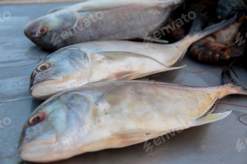 Preview: Fresh fish on the market