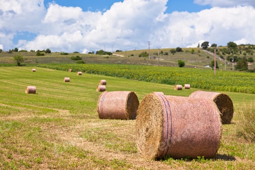 Preview: Rural landscape, France