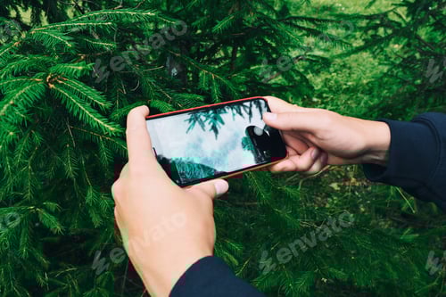 Preview: device,smartphone,snapping photo,gadget