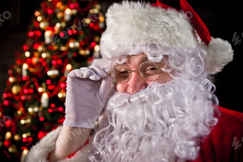 Preview: Santa claus portraits and lifestyle
