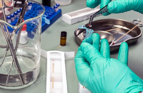 Preview: Police expert extracts traces of blood in a swab for analysis in the laboratory scientist