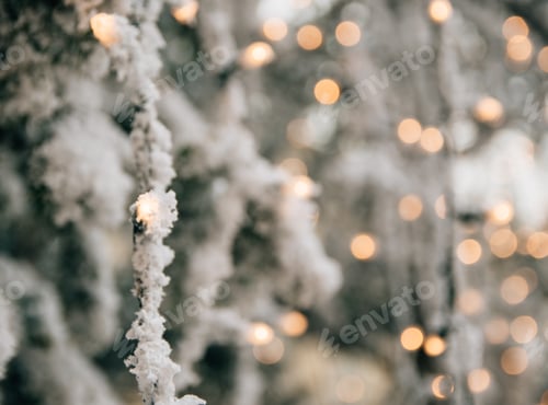 Preview: Close-up depth of field photo of a christmas tree branch covered with snow and bokeh lights.