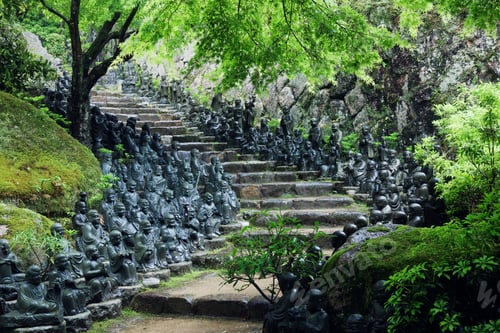 Preview: Buddahs Lining Steps