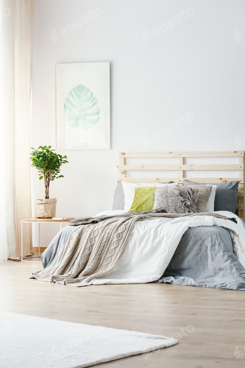 Preview: Poster of monstera deliciosa leaf hanging on the wall in bright