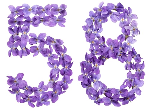 Preview: Arabic numeral 58, fifty eight, from flowers of viola, isolated on white background