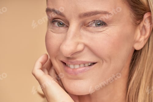 Preview: Anti aging skin care. Close up portrait of a beautiful middle aged woman touching her